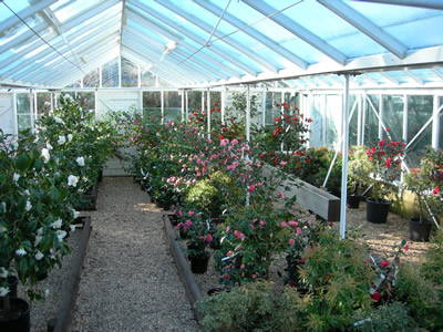 Trehane Nursery